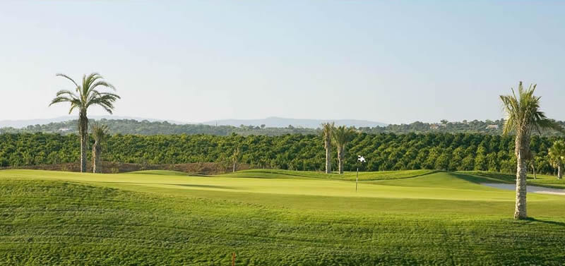 amendoeira o'connor golf course